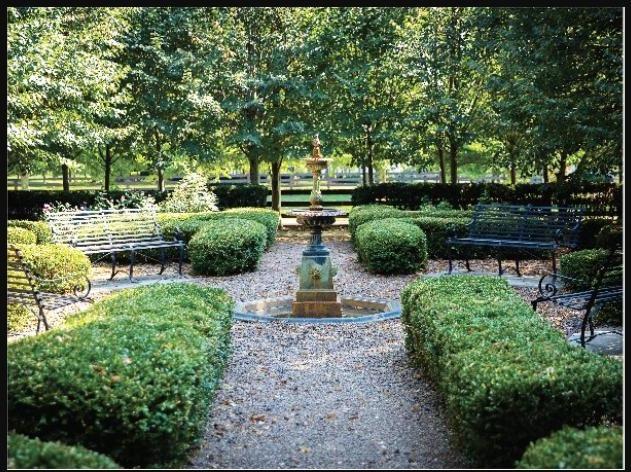 A landscaped English-style rose garden in Norton Commons